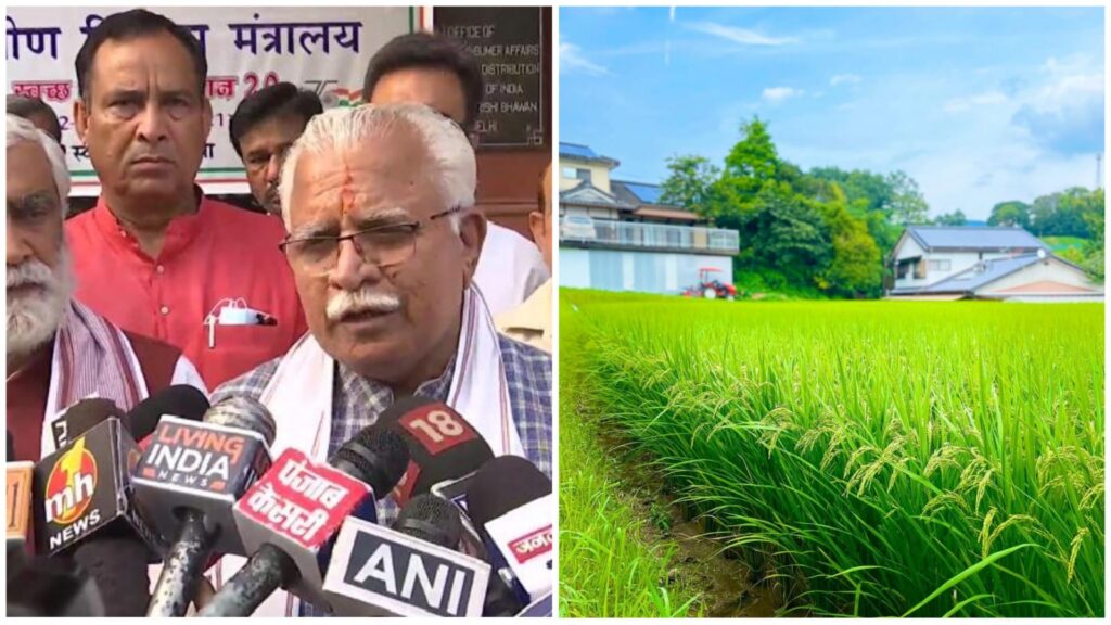 CM announces commencement of paddy procurement